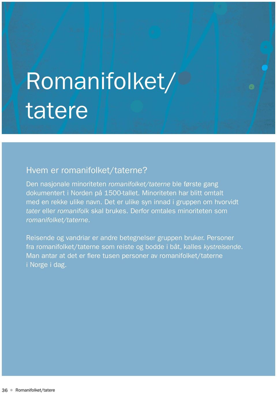 Minoriteten har blitt omtalt med en rekke ulike navn. Det er ulike syn innad i gruppen om hvorvidt tater eller romanifolk skal brukes.