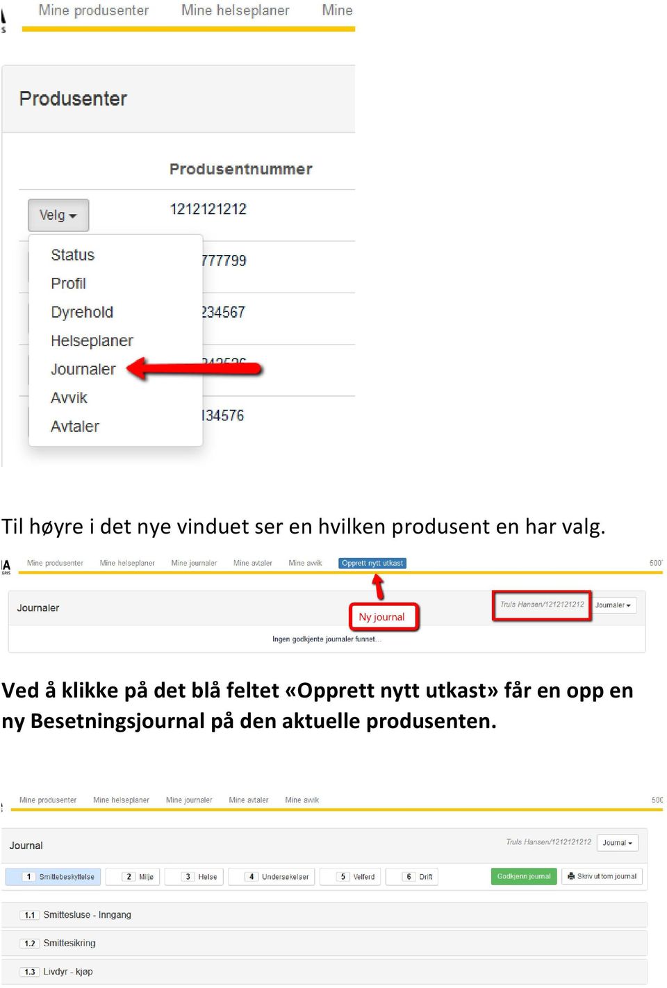 Ved å klikke på det blå feltet «Opprett nytt