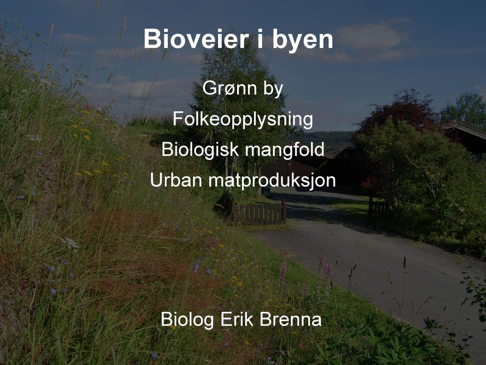 Biologisk mangfold Urban