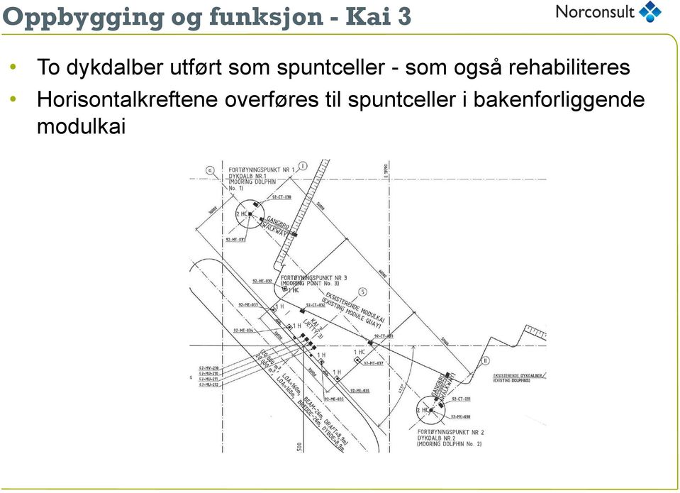 også rehabiliteres Horisontalkreftene