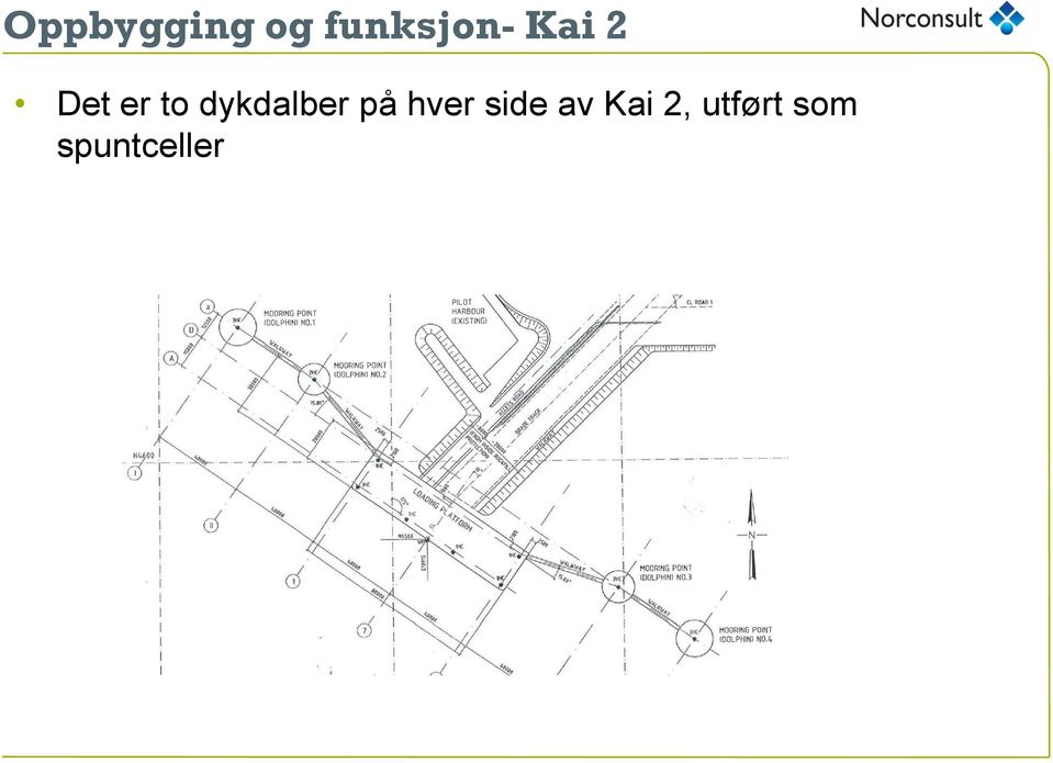 dykdalber på hver side