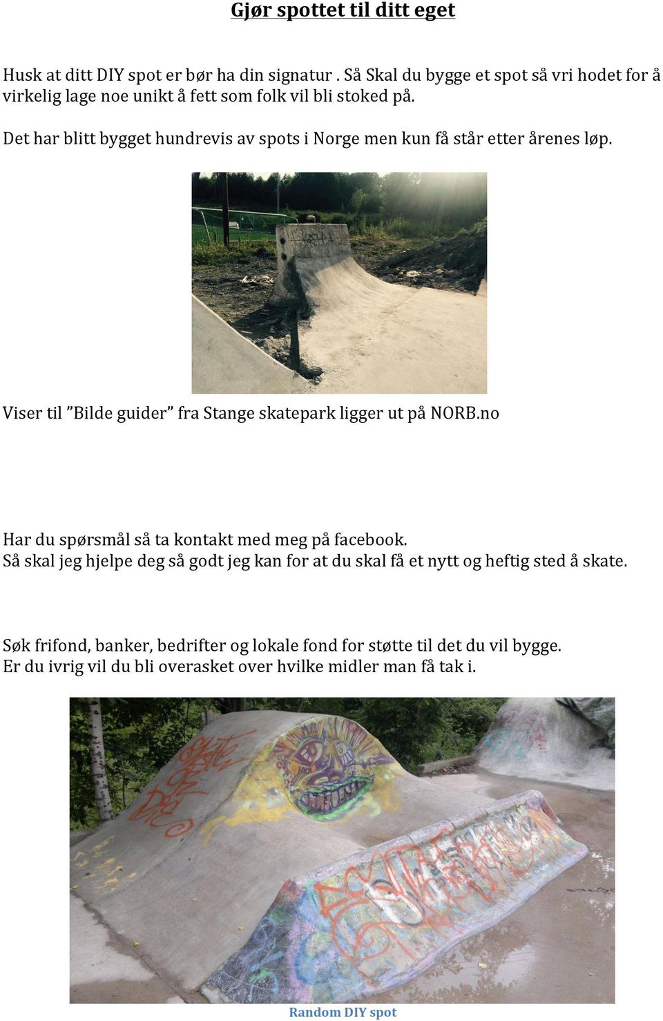 Det har blitt bygget hundrevis av spots i Norge men kun få står etter årenes løp. Viser til Bilde guider fra Stange skatepark ligger ut på NORB.