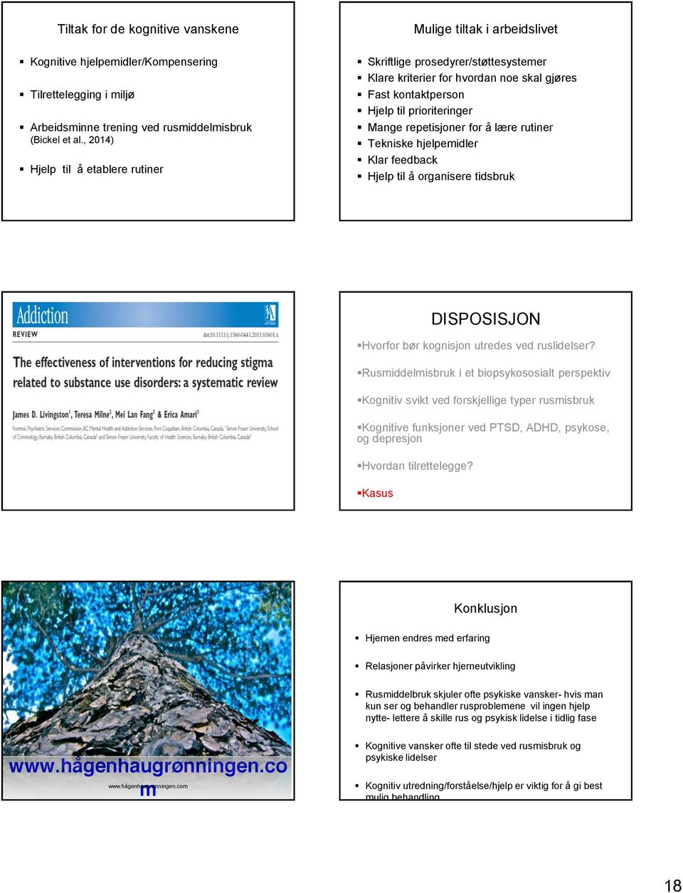 repetisjoner for å lære rutiner Tekniske hjelpemidler Klar feedback Hjelp til å organisere tidsbruk DISPOSISJON Hvorfor bør kognisjon utredes ved ruslidelser?