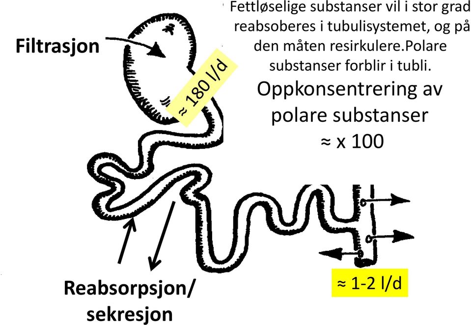 resirkulere.polare substanser forblir i tubli.