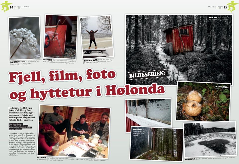 Fjell, film, foto BILDESERIEN: og hyttetur i Hølonda OVERVINTRER: Soppen er ikke redd for kulde og snø.