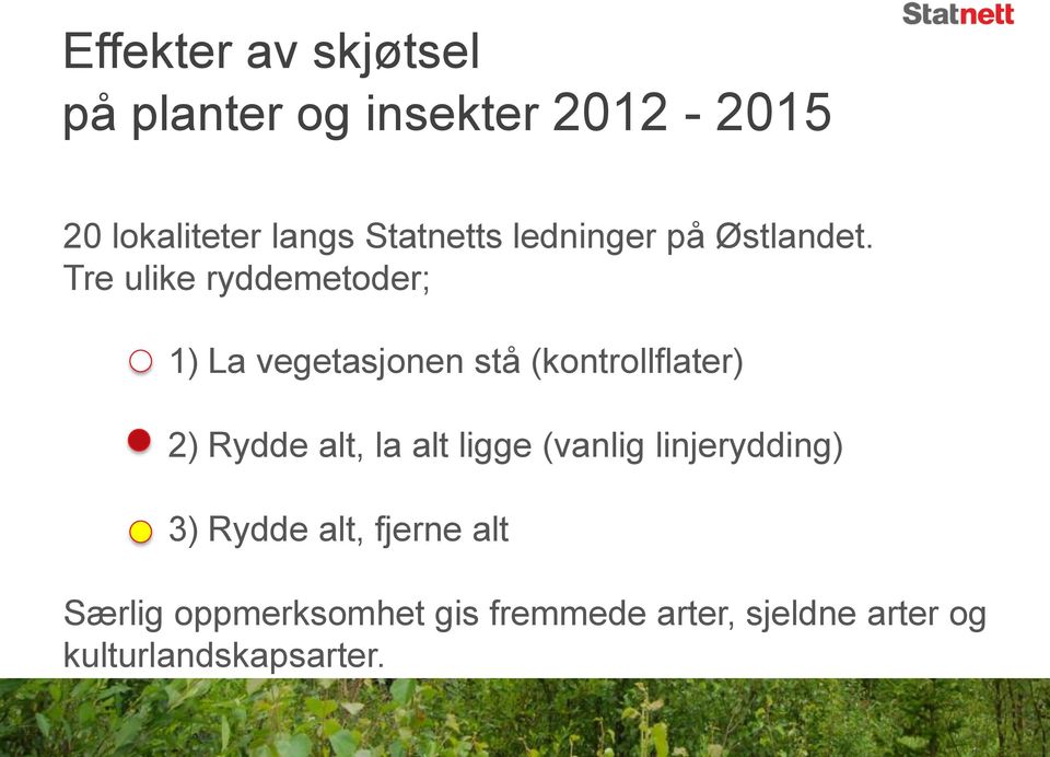 Tre ulike ryddemetoder; 1) La vegetasjonen stå (kontrollflater) 2) Rydde alt, la