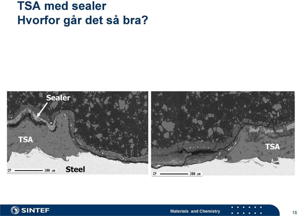 bra? Sealer TSA TSA