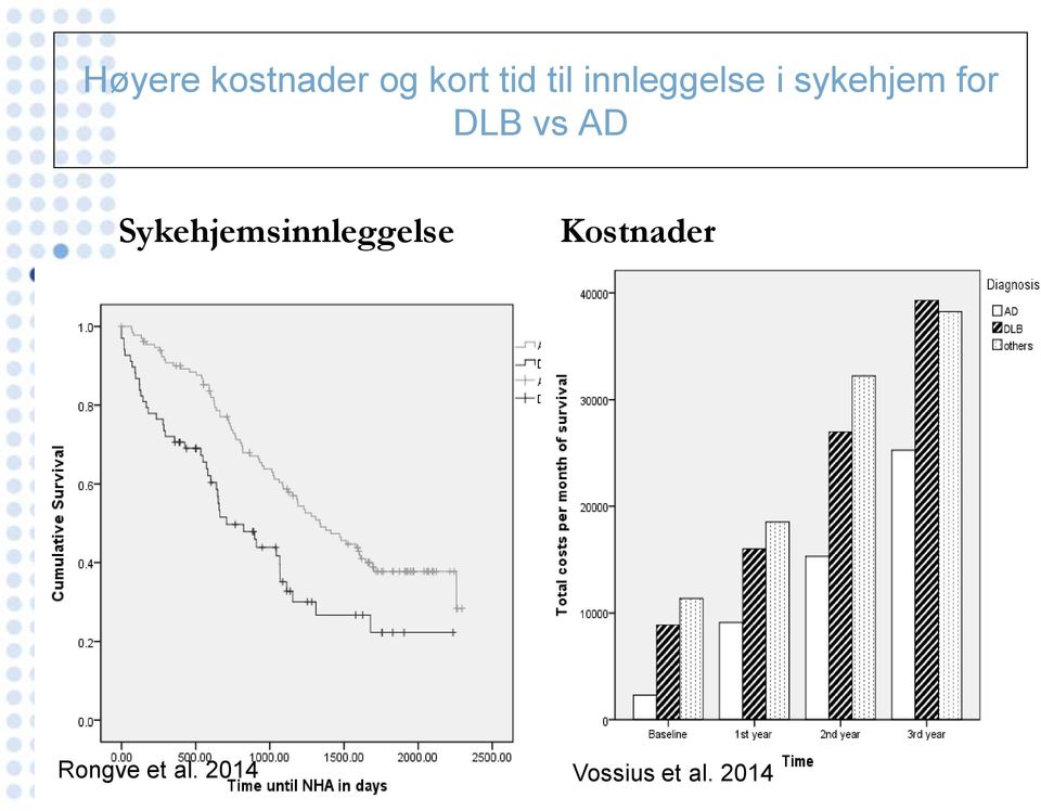 AD Sykehjemsinnleggelse Kostnader