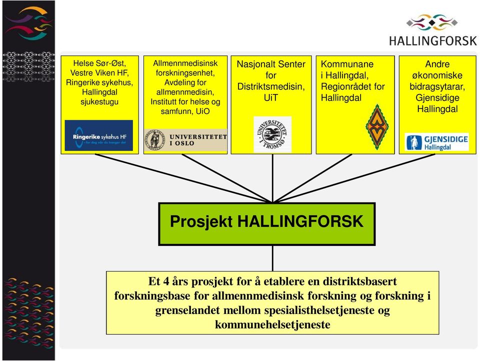 for Hallingdal Andre økonomiske bidragsytarar, Gjensidige Hallingdal Prosjekt HALLINGFORSK Et 4 års prosjekt for å etablere en