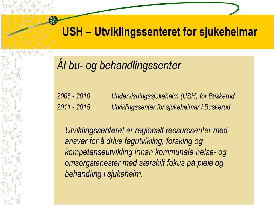 Utviklingssenteret er regionalt ressurssenter med ansvar for å drive fagutvikling, forsking og