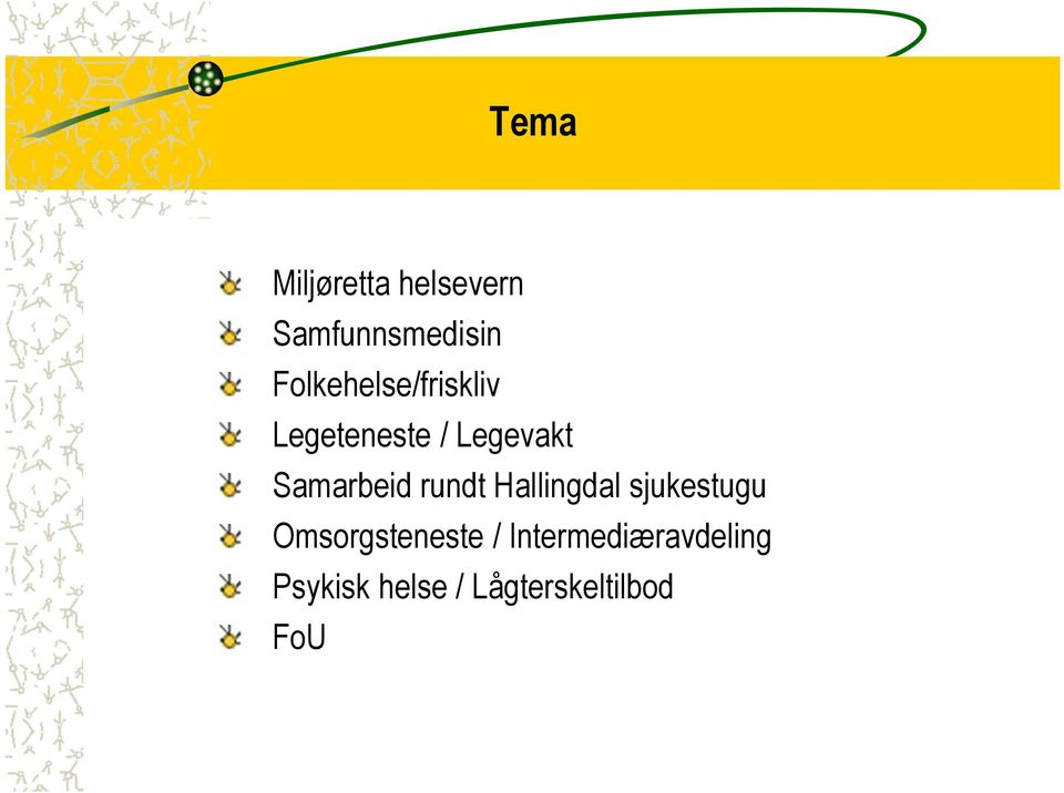 Samarbeid rundt Hallingdal sjukestugu