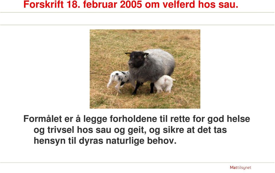 god helse og trivsel hos sau og geit, og