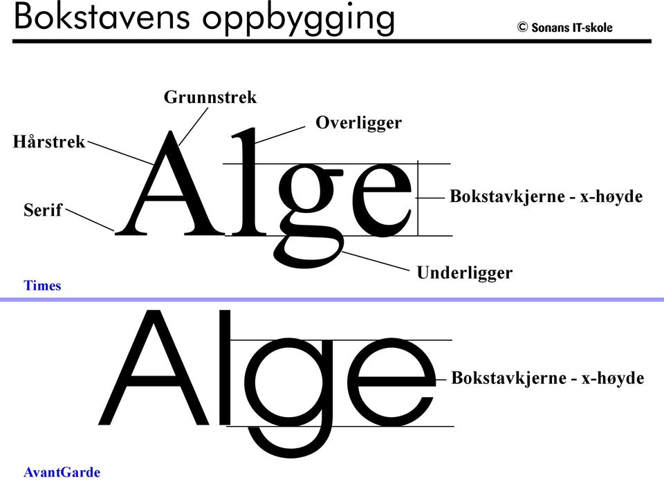 Bokstavkjerne - x-høyde Times