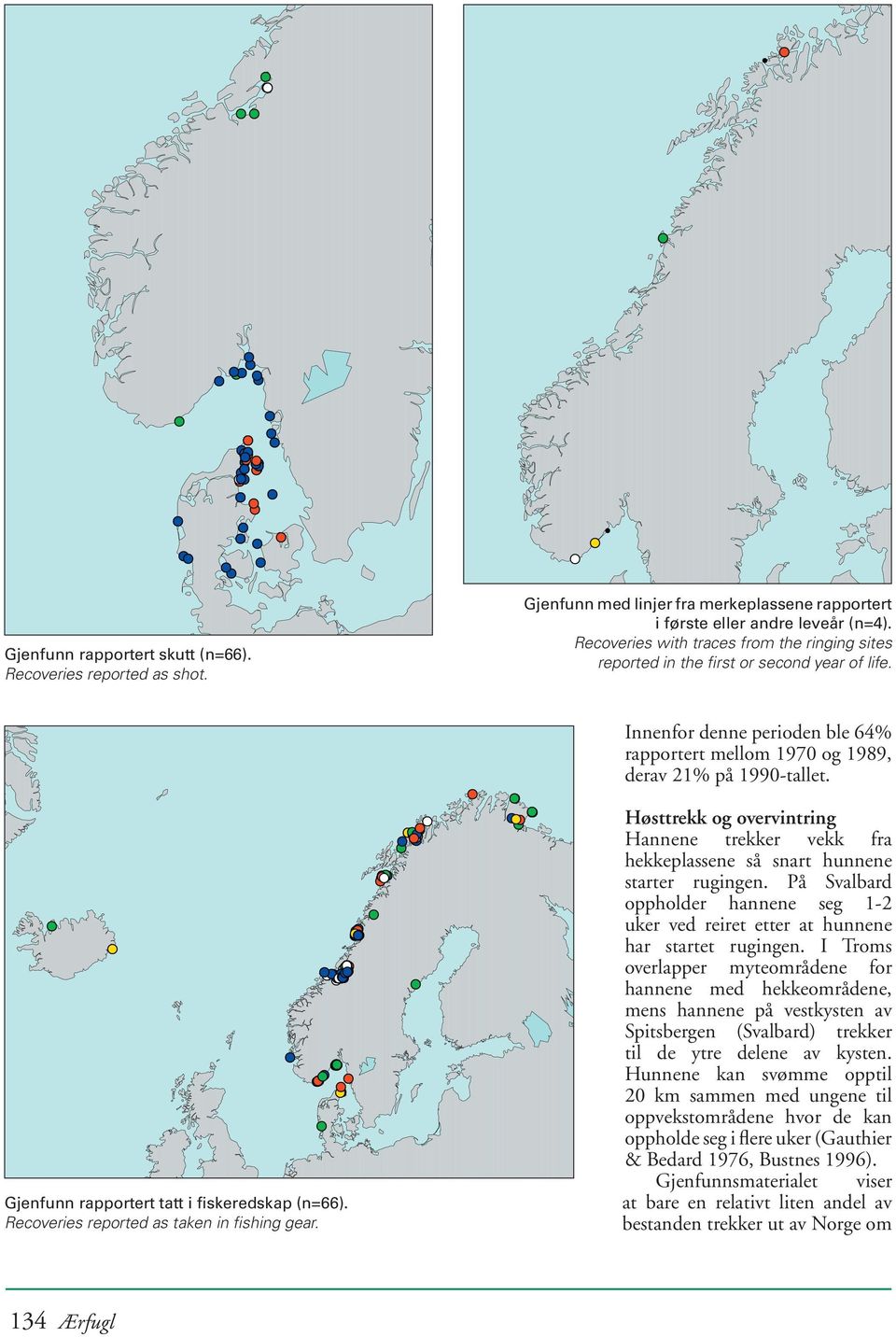 Gjenfunn rapportert tatt i fiskeredskap (n=66). Recoveries reported as taken in fishing gear. Høsttrekk og overvintring Hannene trekker vekk fra hekkeplassene så snart hunnene starter rugingen.