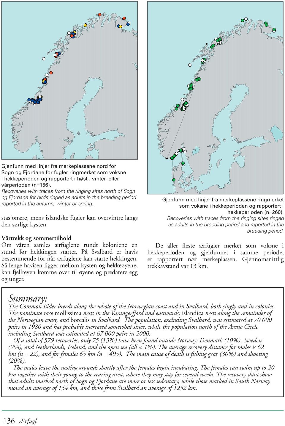 stasjonære, mens islandske fugler kan overvintre langs den sørlige kysten. Vårtrekk og sommertilhold Om våren samles ærfuglene rundt koloniene en stund før hekkingen starter.