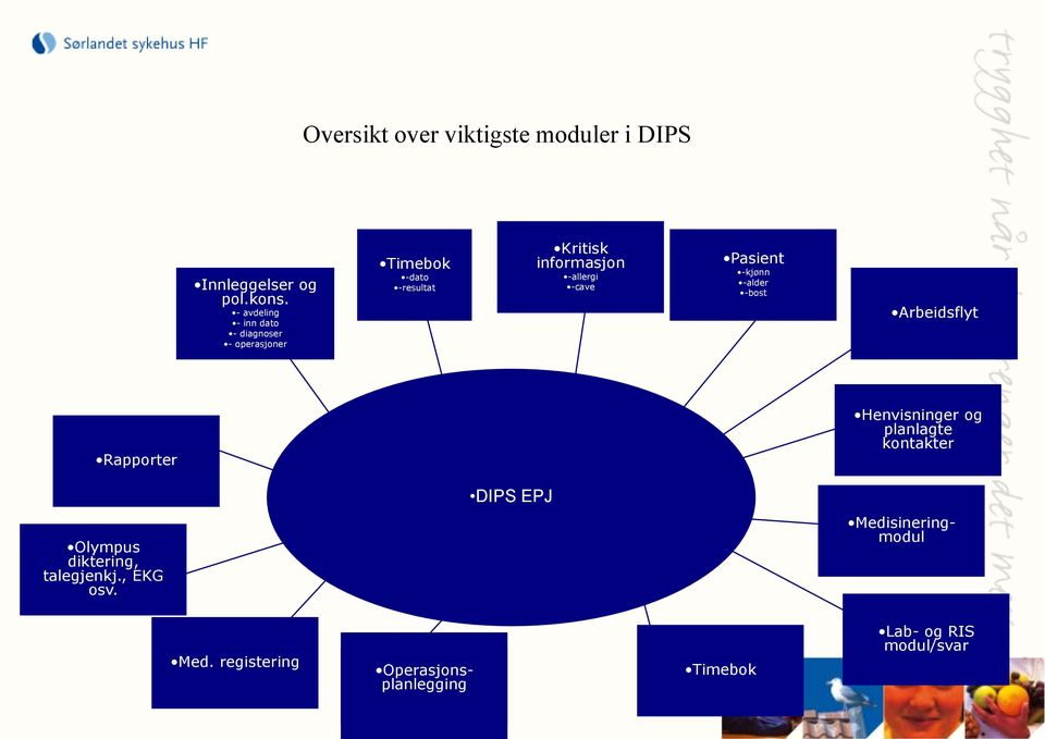 -cave Pasient -kjønn -alder -bost Arbeidsflyt Rapporter Henvisninger og planlagte kontakter DIPS EPJ