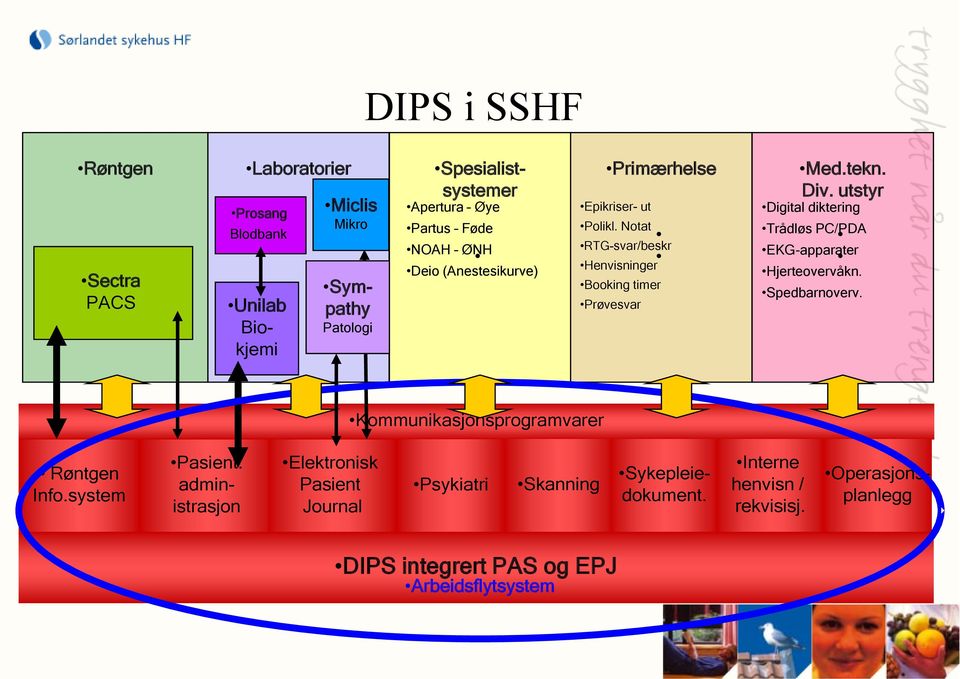 utstyr Digital diktering Trådløs PC/PDA EKG-apparater Hjerteovervåkn. Spedbarnoverv. Kommunikasjonsprogramvarer Røntgen Info.system Pasient.