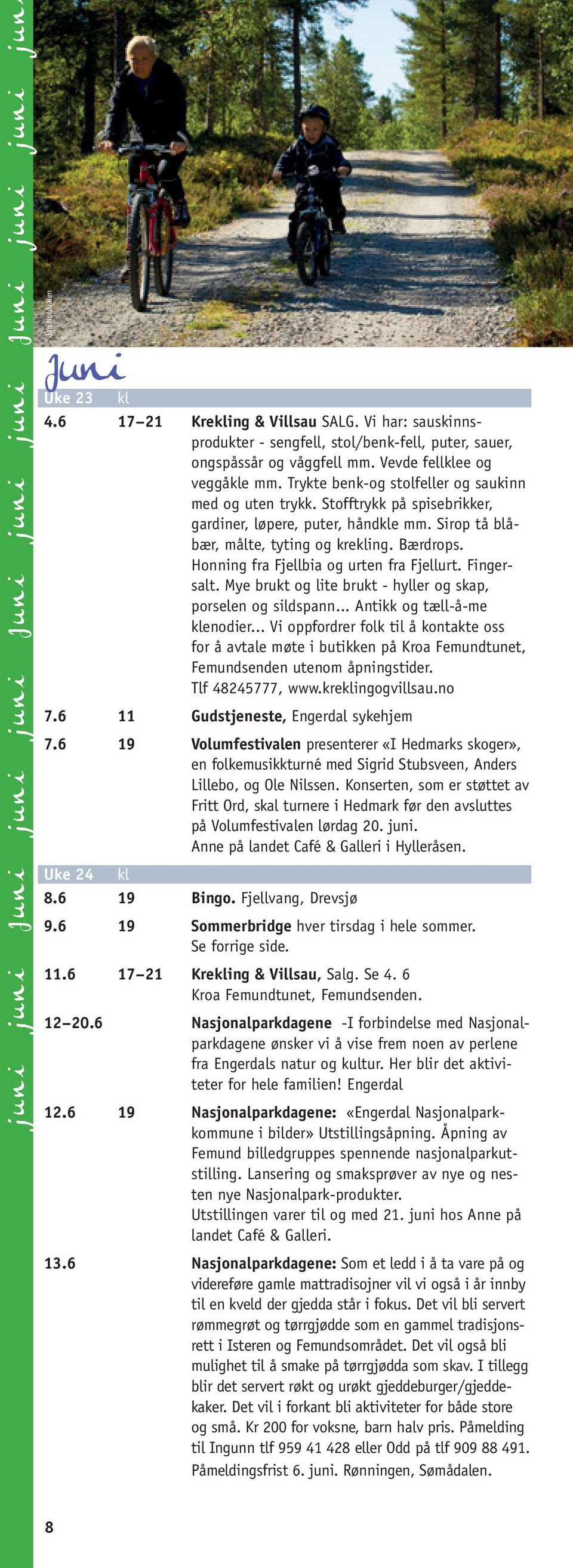 Stofftrykk på spisebrikker, gardiner, løpere, puter, håndkle mm. Sirop tå blåbær, målte, tyting og krekling. Bærdrops. Honning fra Fjellbia og urten fra Fjellurt. Fingersalt.