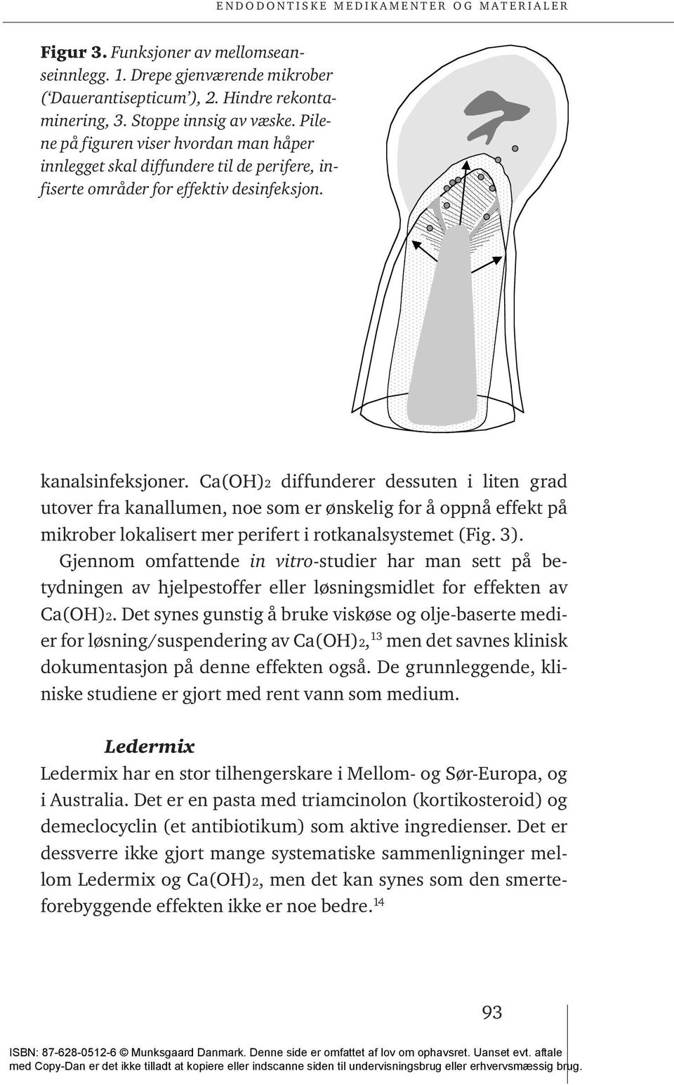 Ca(OH)2 diffunderer dessuten i liten grad utover fra kanallumen, noe som er ønskelig for å oppnå effekt på mikrober lokalisert mer perifert i rotkanalsystemet (Fig. 3).