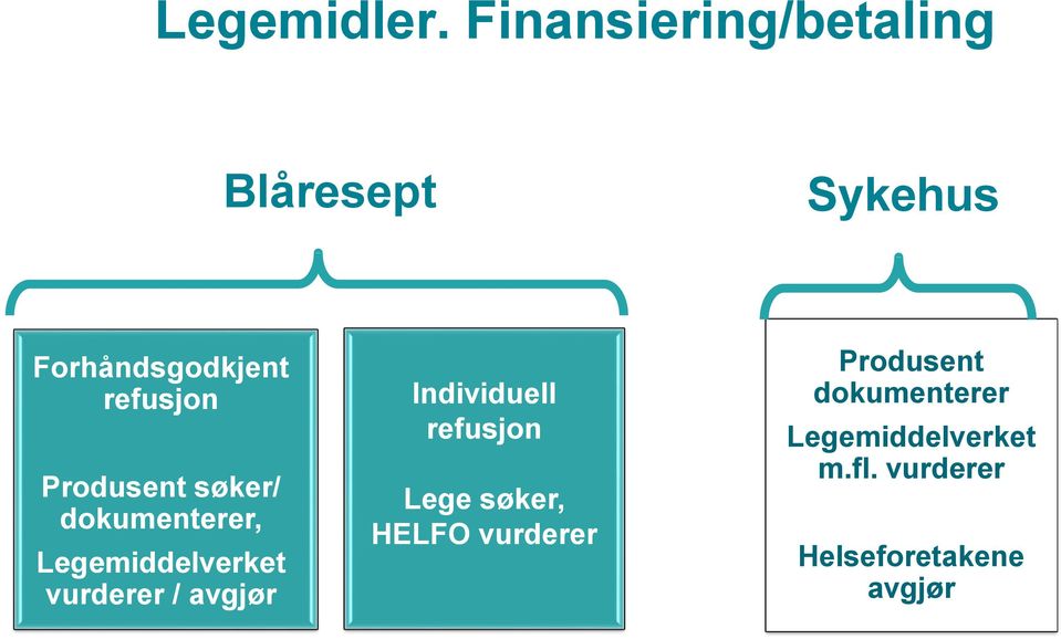 Produsent søker/ dokumenterer, Legemiddelverket vurderer / avgjør