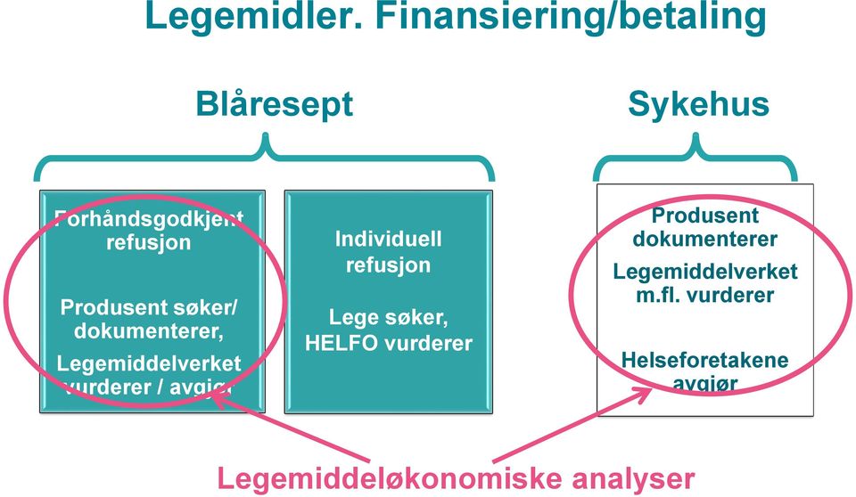 Produsent søker/ dokumenterer, Legemiddelverket vurderer / avgjør