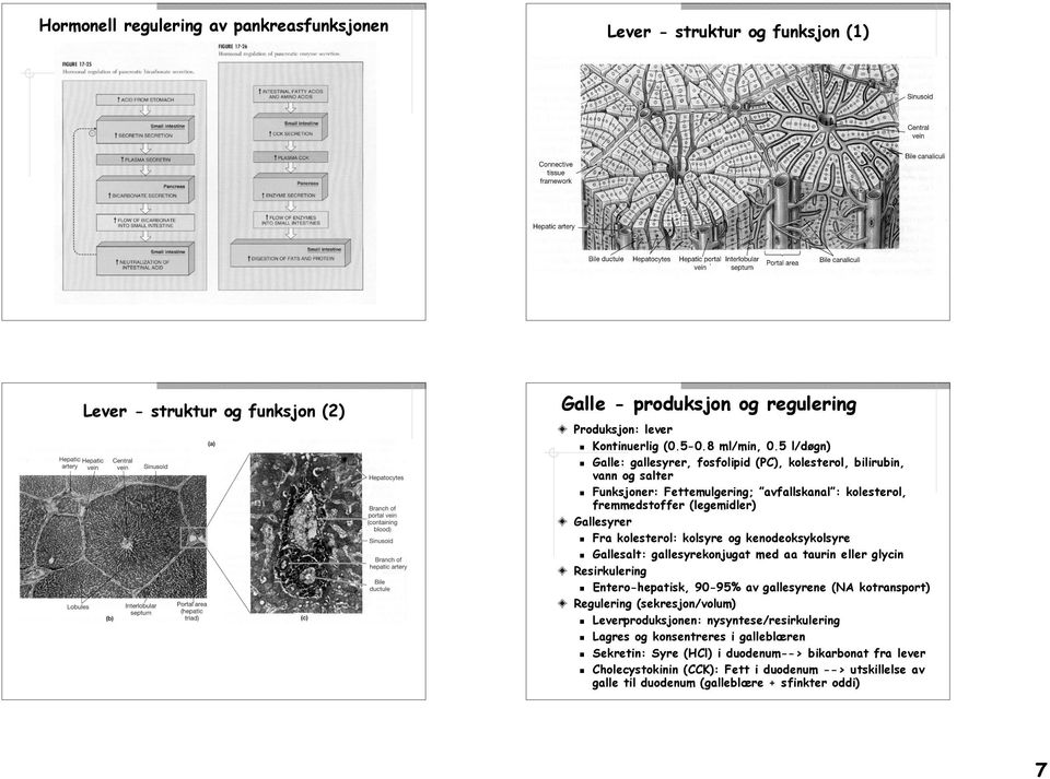 kolsyre og kenodeoksykolsyre Gallesalt: gallesyrekonjugat med aa taurin eller glycin Resirkulering Entero-hepatisk, 90-95% av gallesyrene (NA kotransport) Regulering (sekresjon/volum)