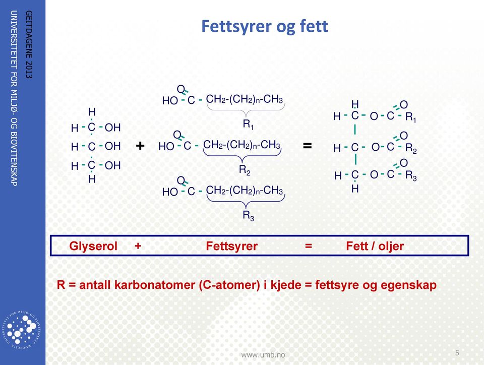 O O C R 1 O O C R 2 O O C R 3 R 3 Glyserol + Fettsyrer = Fett /