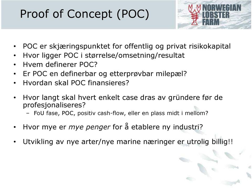 Hvordan skal POC finansieres? Hvor langt skal hvert enkelt case dras av gründere før de profesjonaliseres?