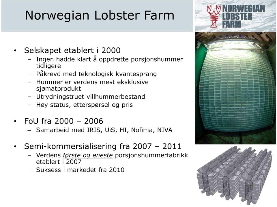 villhummerbestand Høy status, etterspørsel og pris FoU fra 2000 2006 Samarbeid med IRIS, UiS, HI, Nofima, NIVA