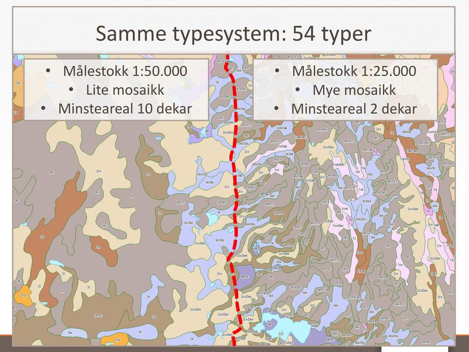 000 Lite mosaikk Minsteareal 10