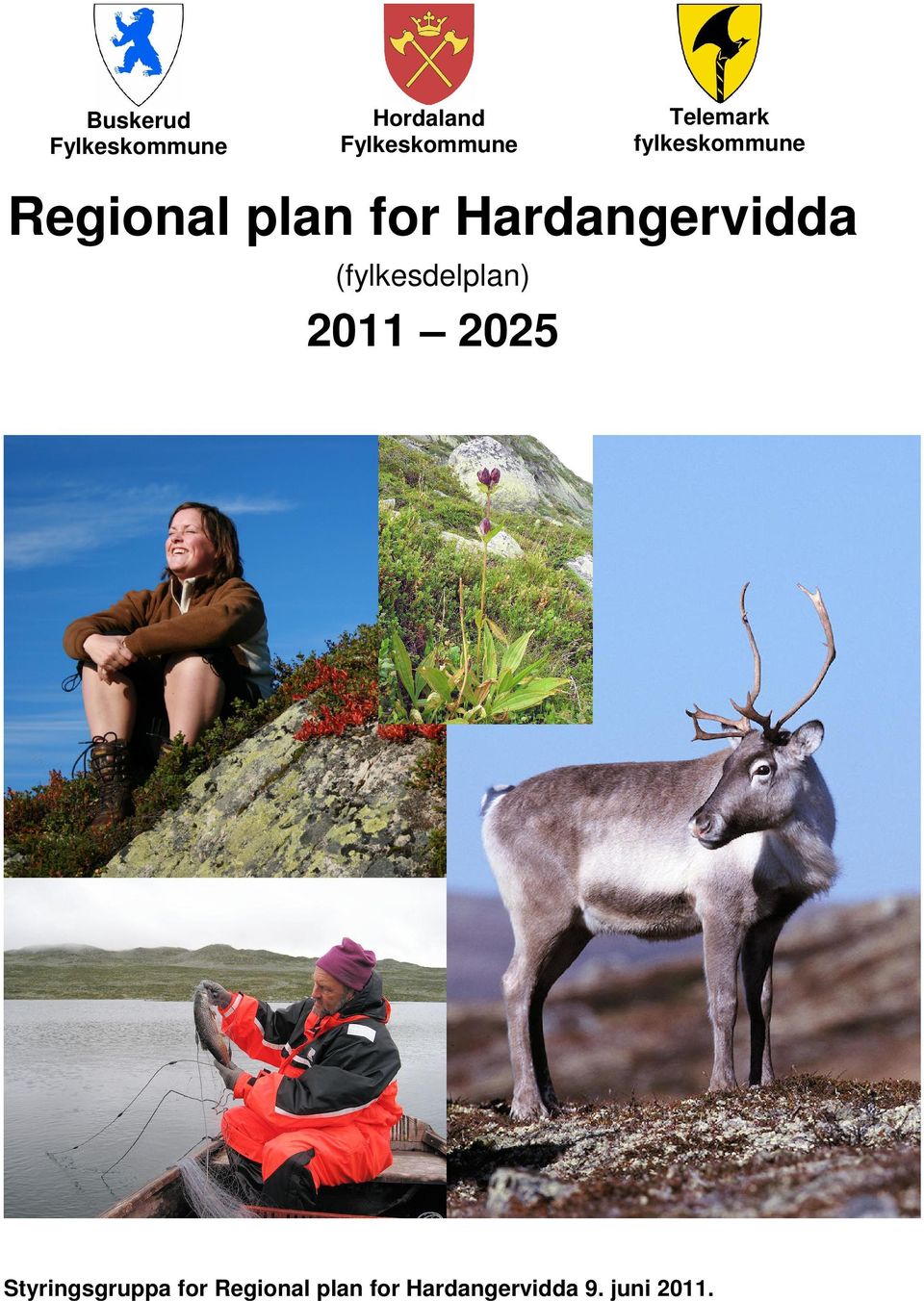 Hardangervidda (fylkesdelplan) 2011 2025