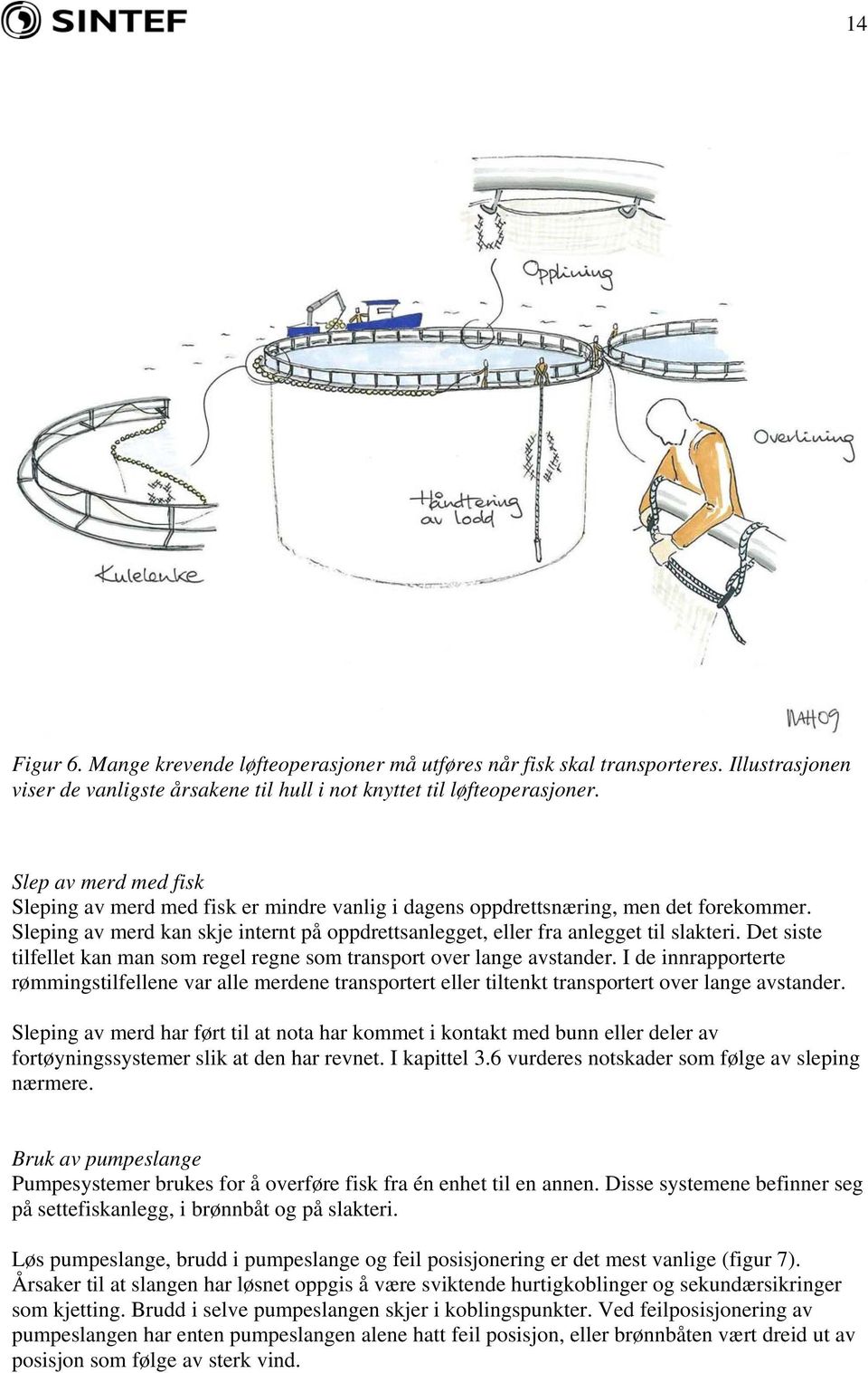 Det siste tilfellet kan man som regel regne som transport over lange avstander. I de innrapporterte rømmingstilfellene var alle merdene transportert eller tiltenkt transportert over lange avstander.