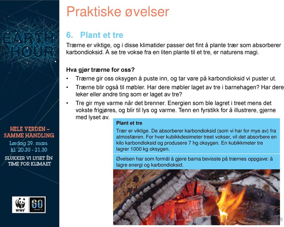 Har dere leker eller andre ting som er laget av tre? Tre gir mye varme når det brenner. Energien som ble lagret i treet mens det vokste frigjøres, og blir til lys og varme.