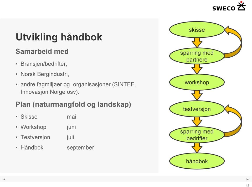 Plan (naturmangfold og landskap) Skisse Workshop Testversjon Håndbok mai juni