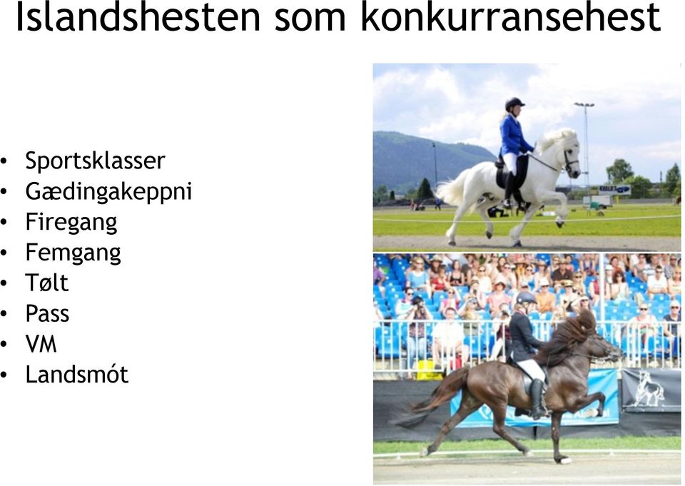 Sportsklasser