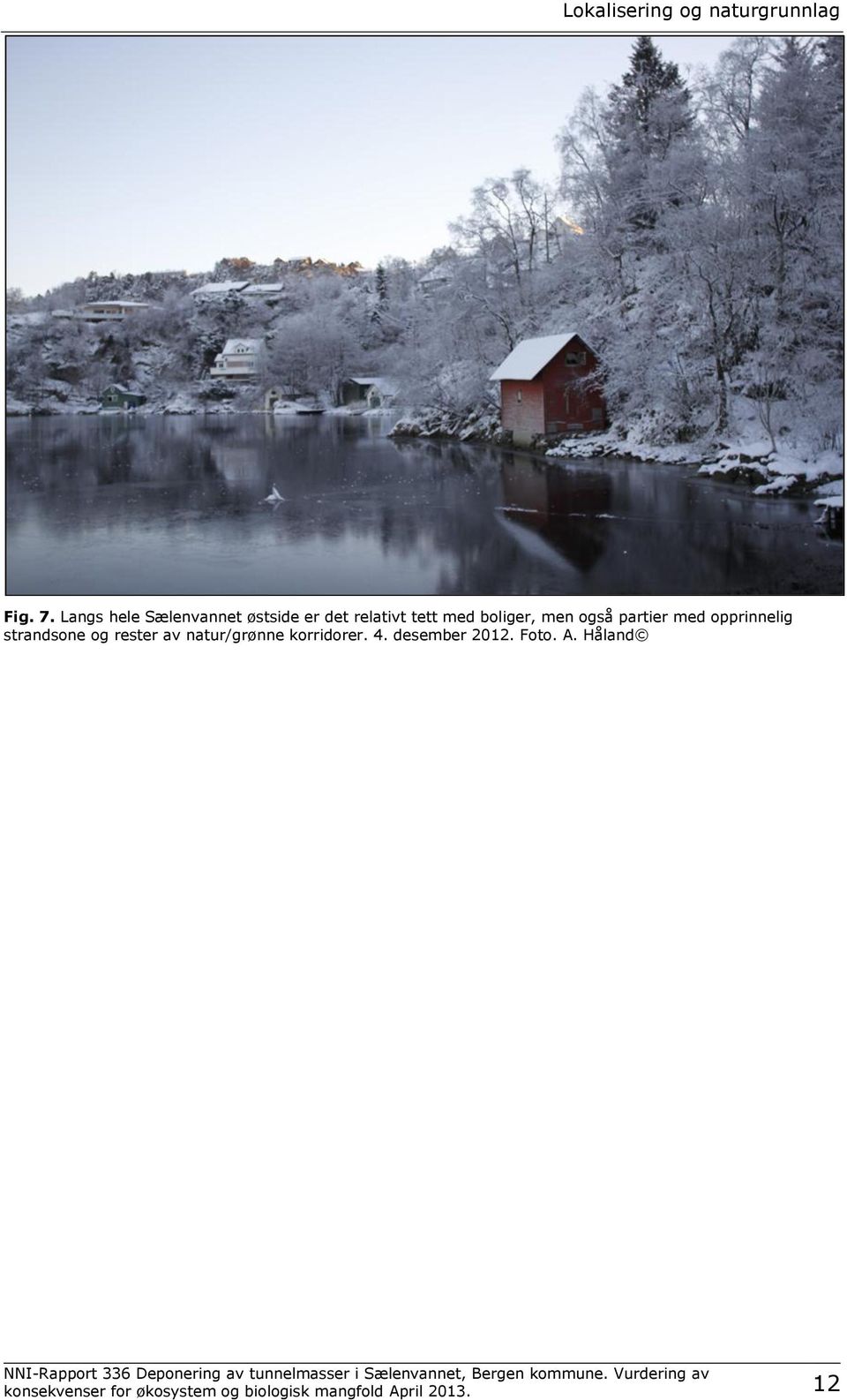 også partier med opprinnelig strandsone og rester av natur/grønne