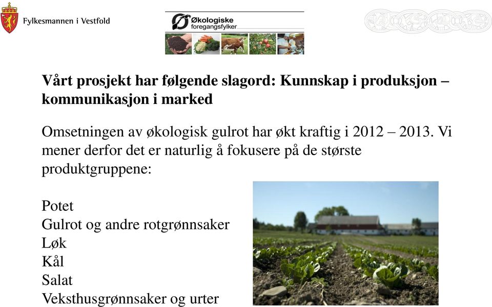 Vi mener derfor det er naturlig å fokusere på de største produktgruppene: