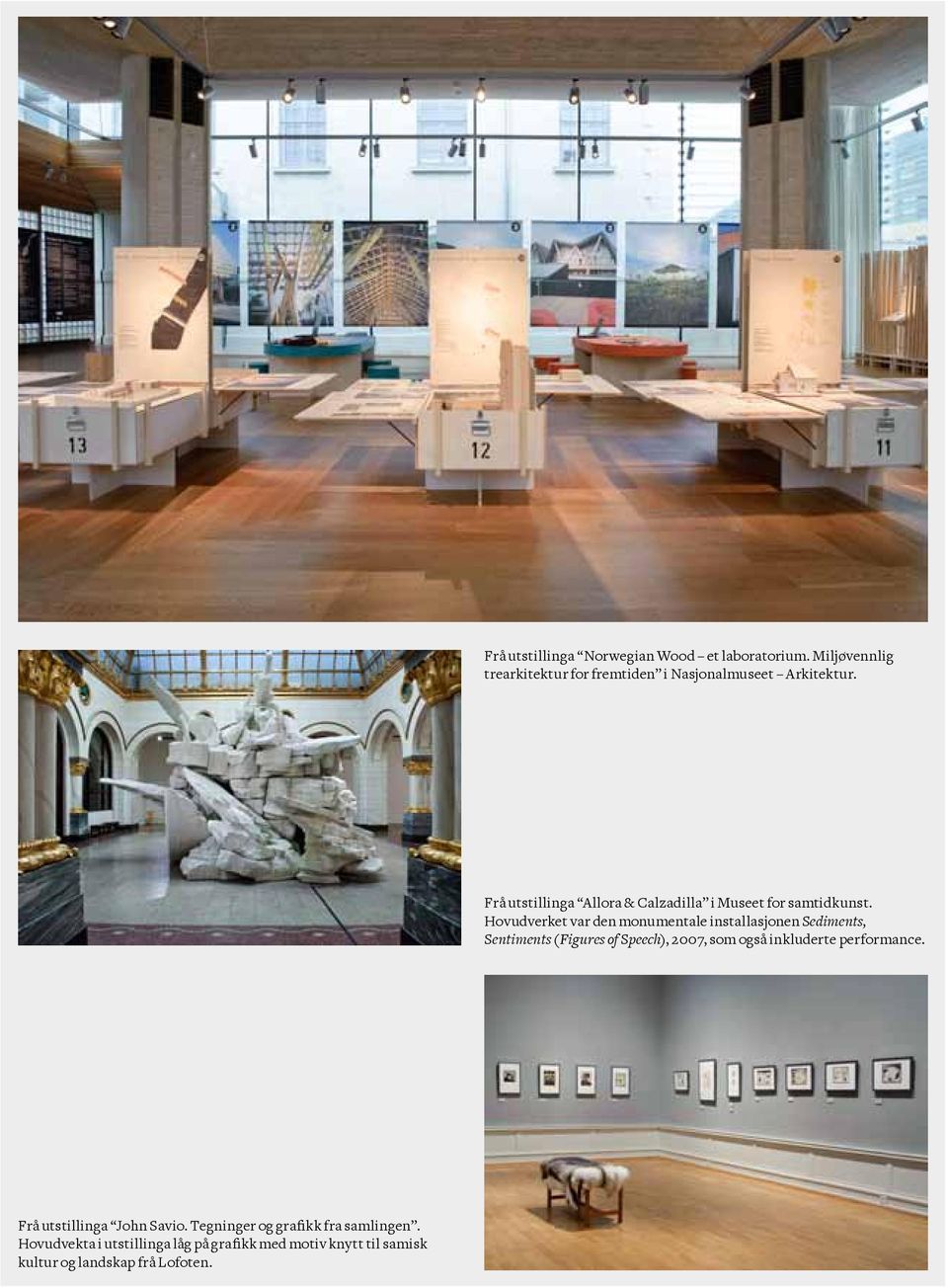 Hovudverket var den monumentale installasjonen Sediments, Sentiments (Figures of Speech), 2007, som også inkluderte