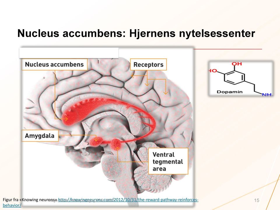 http://knowingneurons.