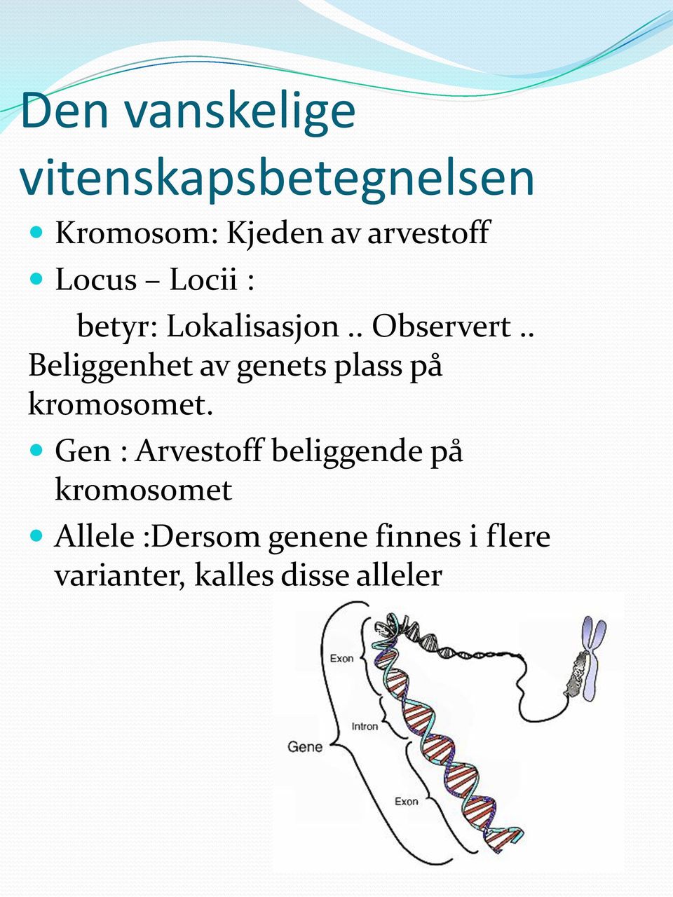 . Beliggenhet av genets plass på kromosomet.