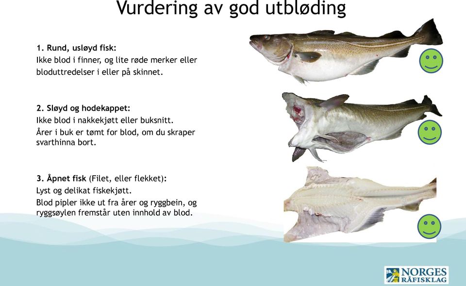 2. Sløyd og hodekappet: Ikke blod i nakkekjøtt eller buksnitt.