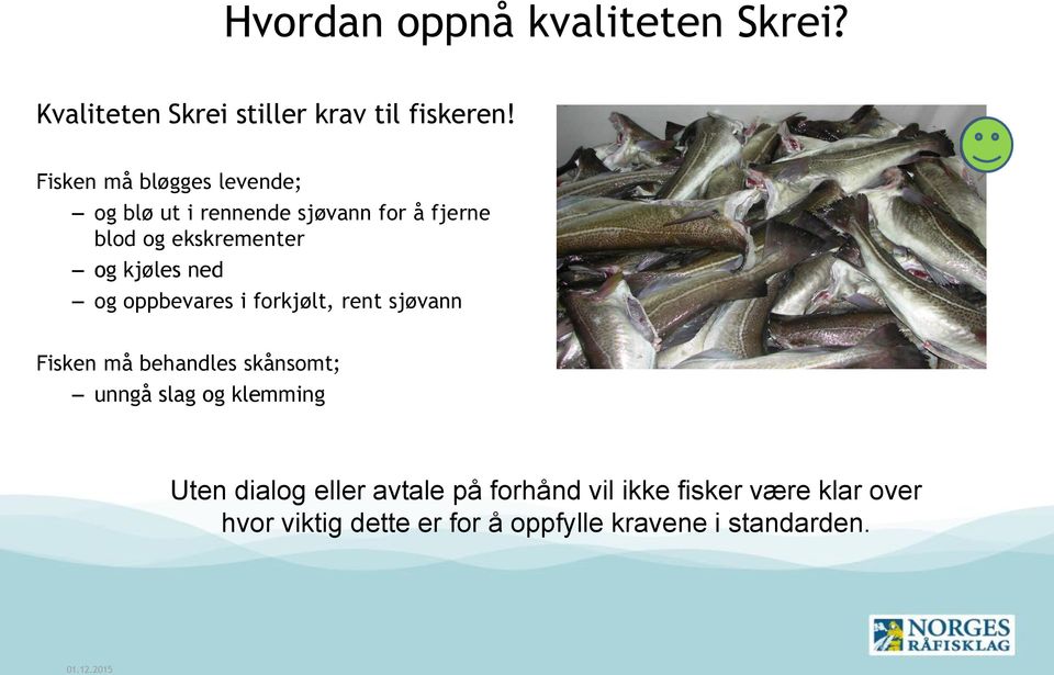 kjøles ned og oppbevares i forkjølt, rent sjøvann Fisken må behandles skånsomt; unngå slag og