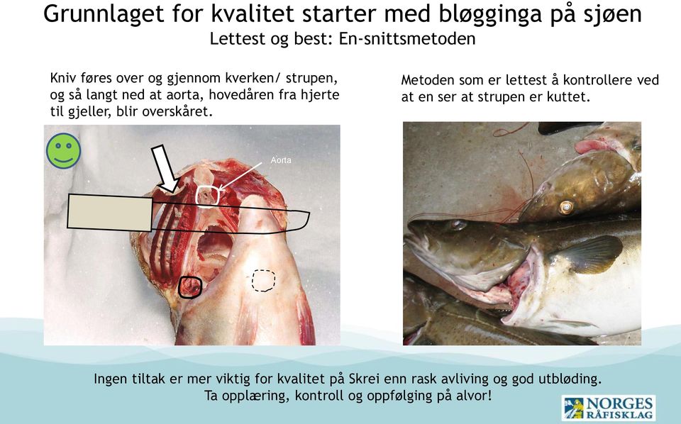 Metoden som er lettest å kontrollere ved at en ser at strupen er kuttet.