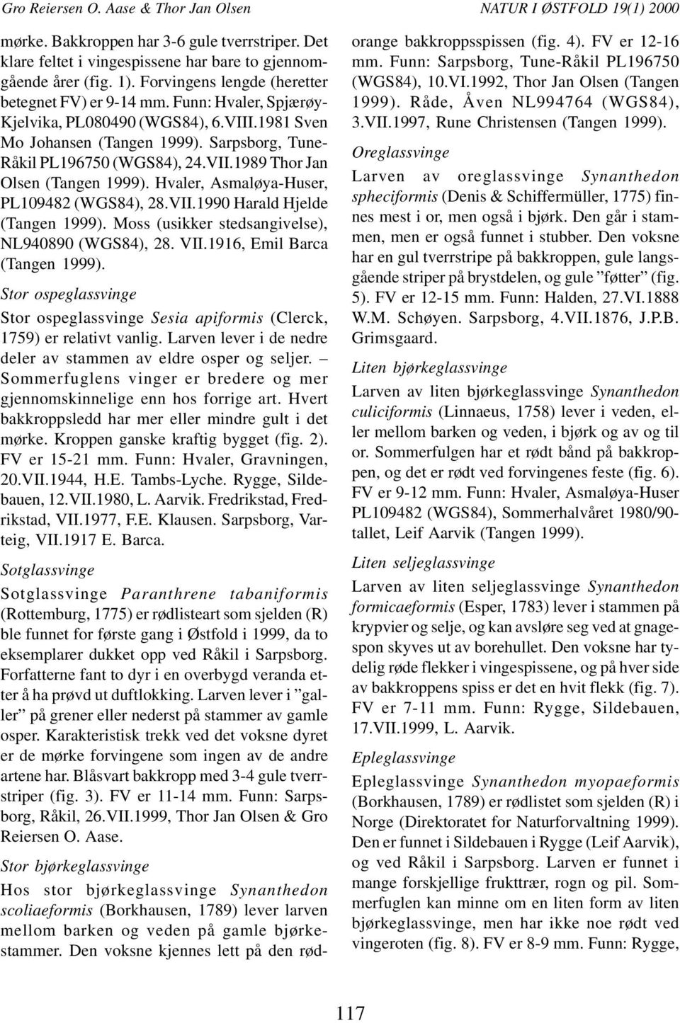 VII.1916, Emil Barca Stor ospeglassvinge Stor ospeglassvinge Sesia apiformis (Clerck, 1759) er relativt vanlig. Larven lever i de nedre deler av stammen av eldre osper og seljer.