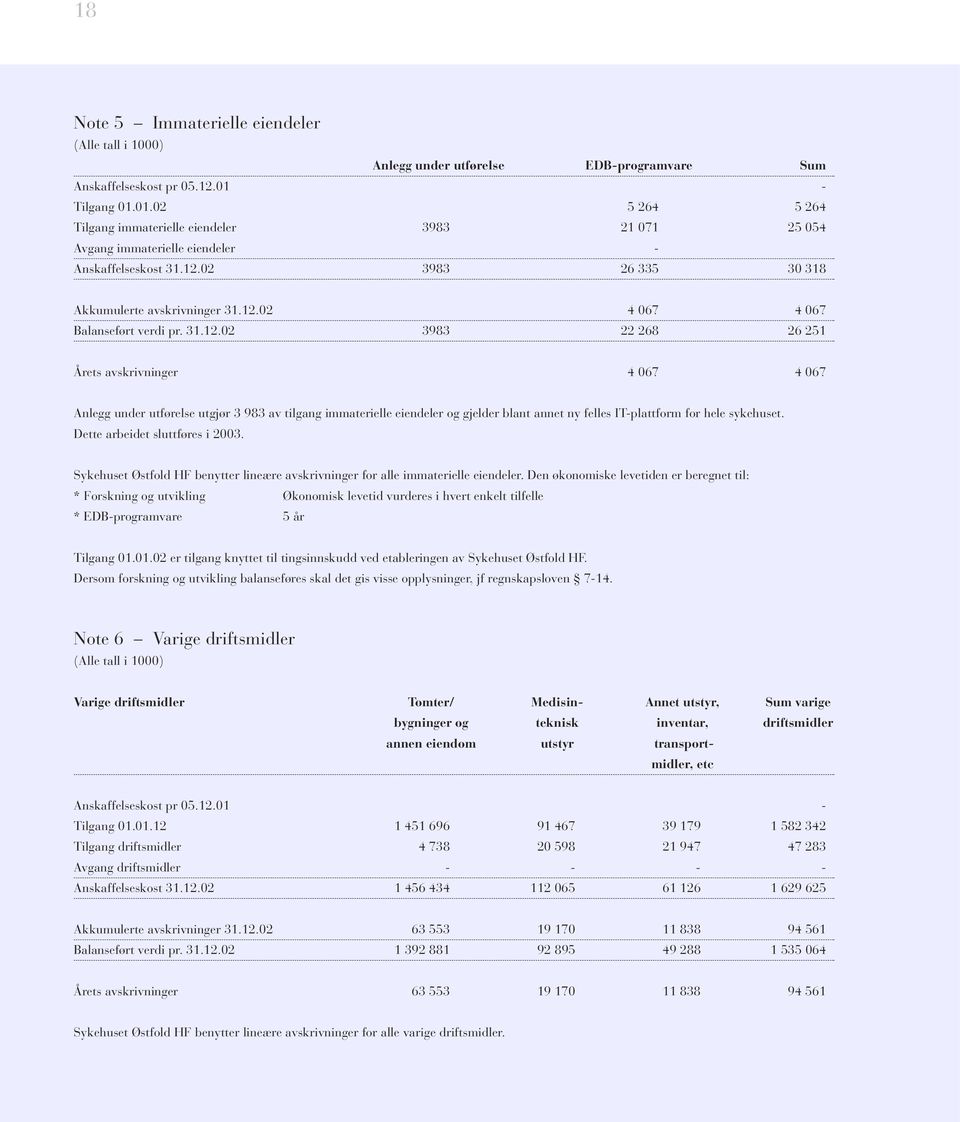 31.12.02 3983 22 268 26 251 Årets avskrivninger 4 067 4 067 Anlegg under utførelse utgjør 3 983 av tilgang immaterielle eiendeler og gjelder blant annet ny felles IT-plattform for hele sykehuset.