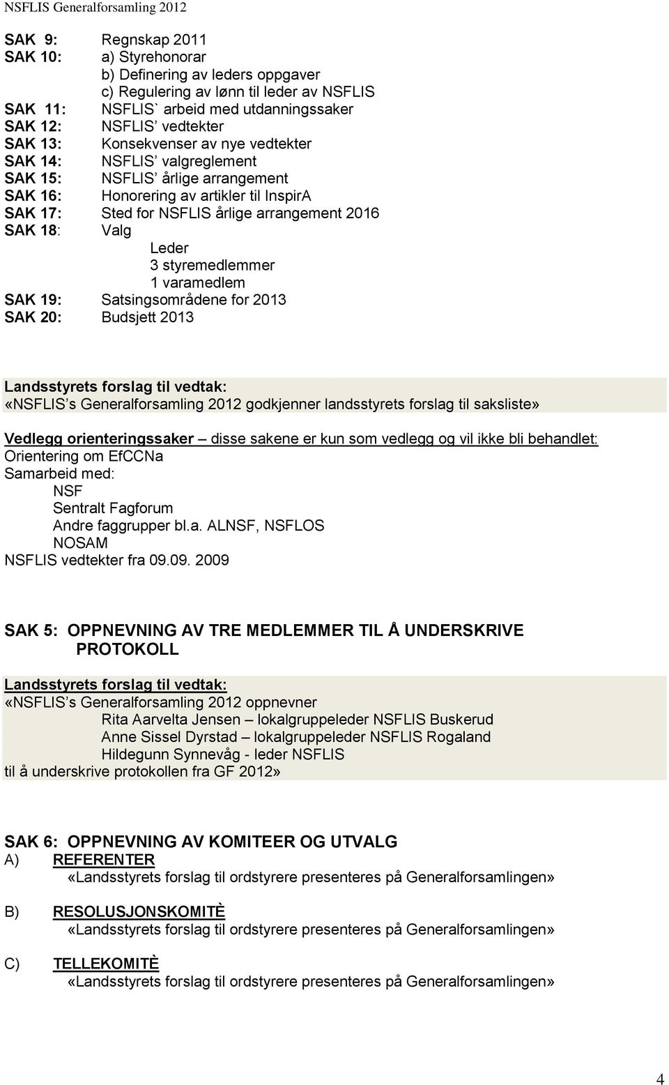 Leder 3 styremedlemmer 1 varamedlem SAK 19: Satsingsområdene for 2013 SAK 20: Budsjett 2013 Landsstyrets forslag til vedtak: «NSFLIS s Generalforsamling 2012 godkjenner landsstyrets forslag til