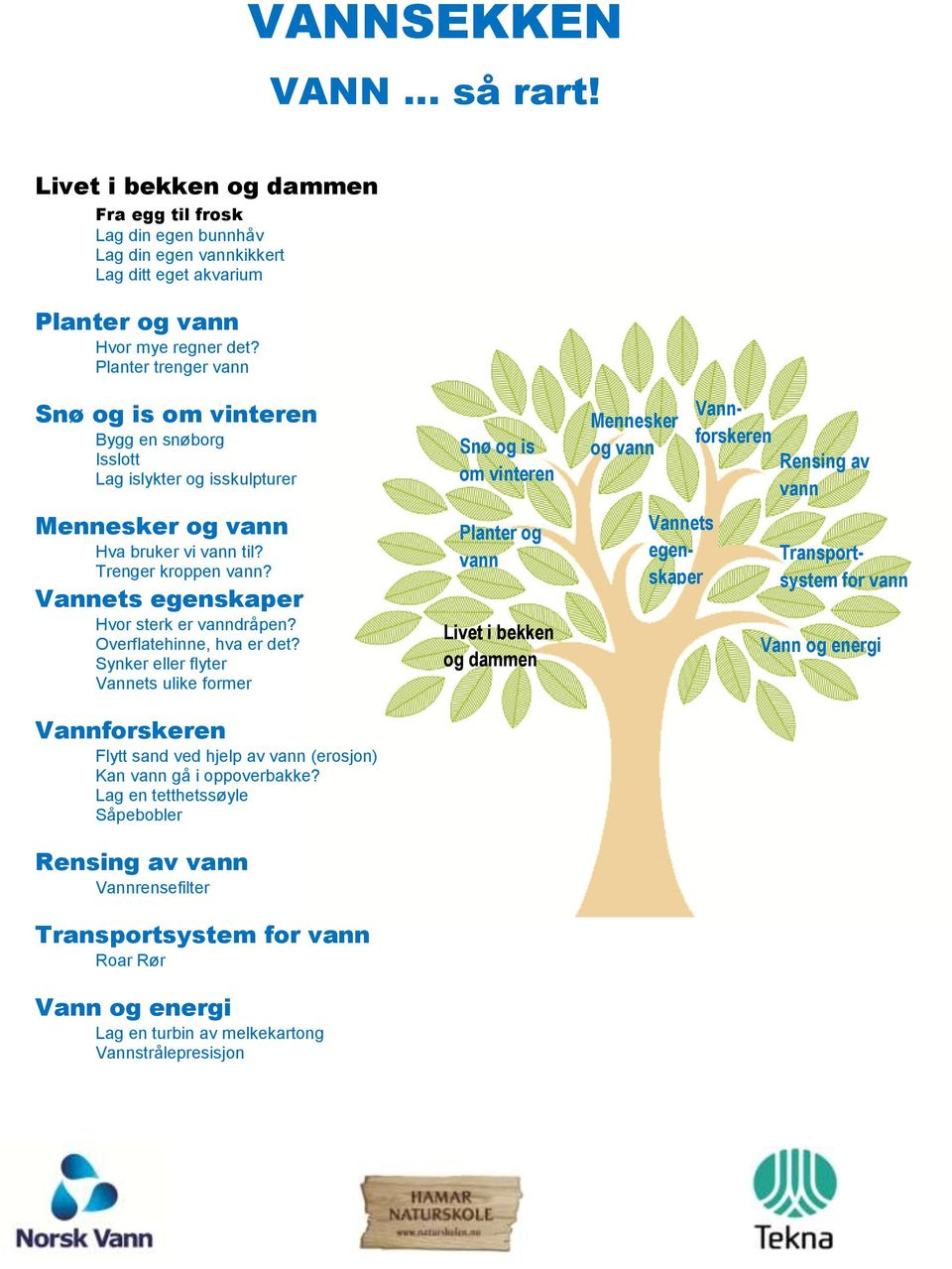 Trenger kroppen? Vannets egenskaper Hvor sterk er dråpen? Overflatehinne, hva er det?