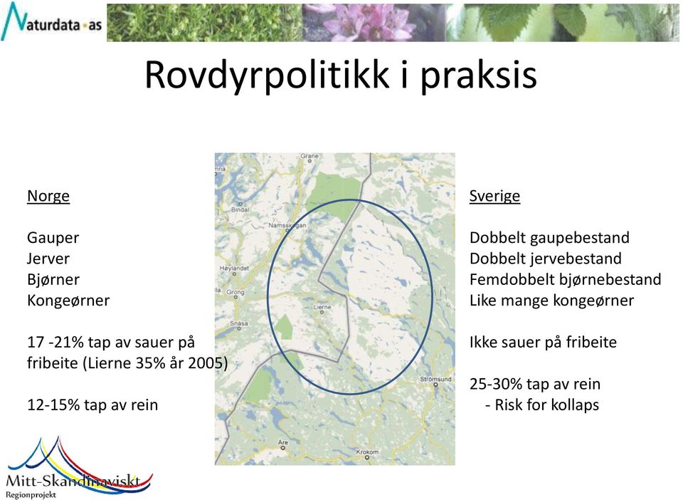 Dobbelt gaupebestand Dobbelt jervebestand Femdobbelt bjørnebestand Like