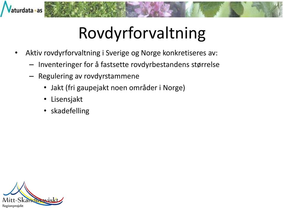 rovdyrbestandens størrelse Regulering av rovdyrstammene