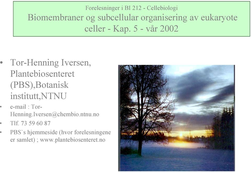 5 - vår 2002 Tor-Henning Iversen, Plantebiosenteret (PBS),Botanisk institutt,ntnu